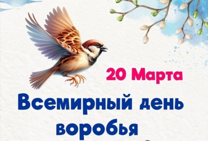 День воробья День воробья.